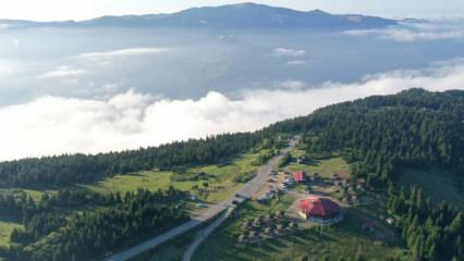 Trabzon’un “bulutlara komşu” yaylası! Doğaseverlerin rotasında