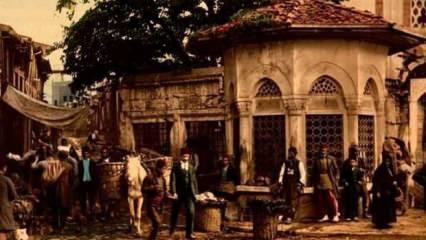 Türk kültürüne nasıl hizmet edilir?