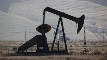 ABD'nin petrol sondaj kulesi sayısı arttı