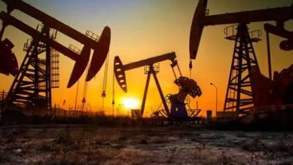 Brent petrolün varili 67,37 dolardan işlem görüyor