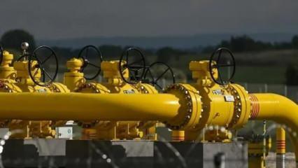 LPG ithalatı haziranda azaldı