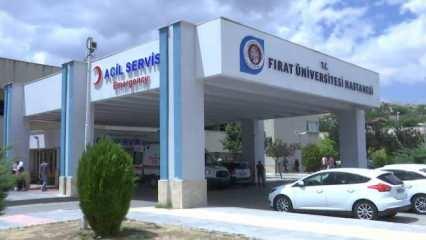 Kaçan eşeğin yuları boynuna dolandı! 7 yaşındaki Meryem feci şekilde can verdi