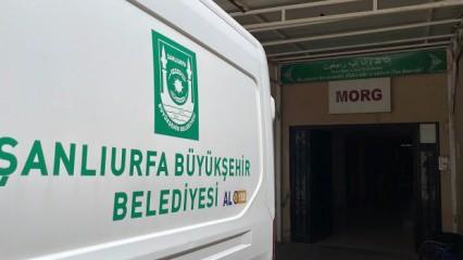 Şanlıurfa’da hayvan otlatma kavgası: 1 ölü
