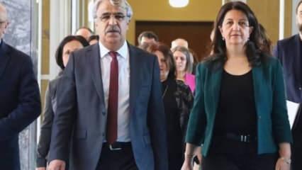 Son Dakika: DEM Parti Heyeti İmralı'ya gidiyor: İşte tarih ve detaylar