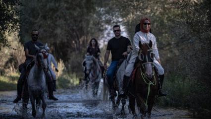 Stres atmanın en iyi yolu bu: Her gün gelip ‘nefes’ alıyorlar