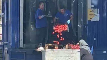Zincir market çalışanları onlarca kilo domatesi çöpe döktü! Bakanlıktan açıklama geldi