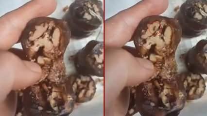 Elazığ'da gıda rezilliği! Cevizli sucuktan çıkan mide bulandırdı