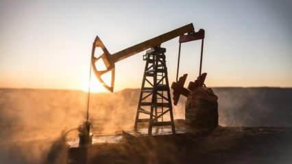 ABD'nin ticari ham petrol stokları 2,4 milyon varil arttı