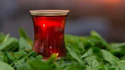 Çaya bir zam daha! Etikete yansıdı