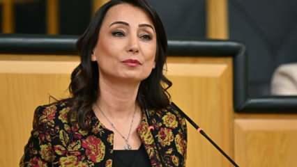 DEM Parti'den açıklama: Suriye ile de yapmak zorundayız