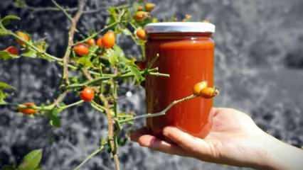 Doğada kendiliğinden yetişiyor! 100 gramı bir kasa portakala eşdeğer