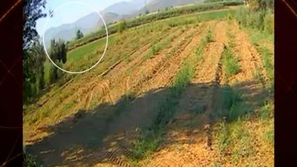 İzmir'de eğitim uçağının tarlaya düştüğü anlar ortaya çıktı