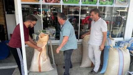 Rekolte düşünce fındık fiyatları pik yaptı
