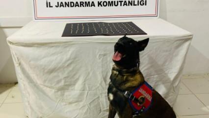Şanlıurfa'da uyuşturucu operasyonu: 42 gözaltı