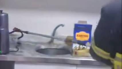 Şırnak'ta iş yerinde yılan paniği