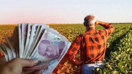 Çiftçilere zirai don desteği! Rakamlar ve şartlar belli oldu: Resmi Gazete'de yayımlandı
