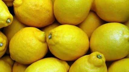 Elma ve limonun ihracı kayda bağlandı