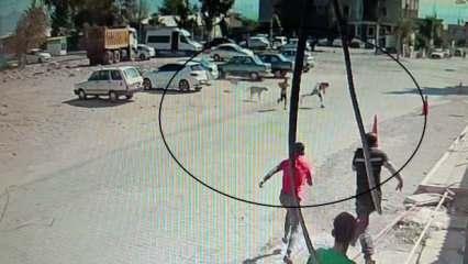 Hatay'da başıboş köpeklerden kaçan iki çocuğun o anları kameraya yansıdı