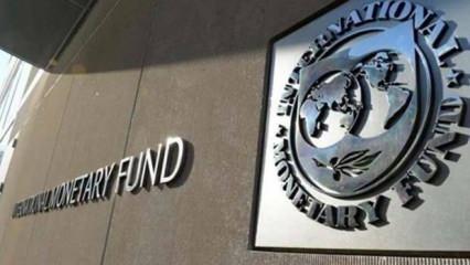 IMF'den Fed'e faiz mesajı