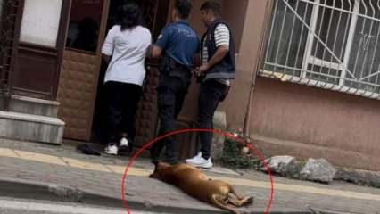 Kavga ihbarına giden polislerin birini köpek, diğerini de sahibi ısırdı
