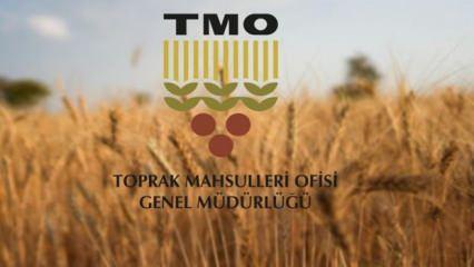 TMO, ürün bedeli olarak yaklaşık 3,6 milyar lirayı üreticilerin hesaplarına yatırdı