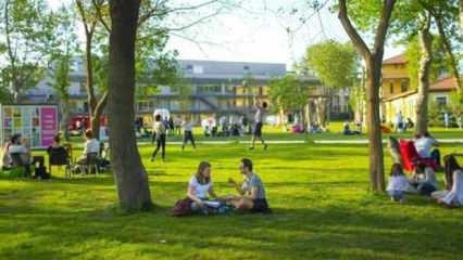 Yükseköğretim Kurulu'ndan son dakika Bilgi Üniversitesi kararı