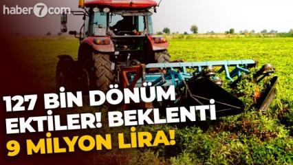 127 bin dönüme ektiler: 9 milyon lira gelir bekliyorlar