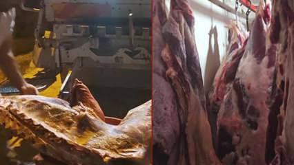 Bakanlıktan Kayseri'de gıda denetimi: 1,5 ton et imha edildi!