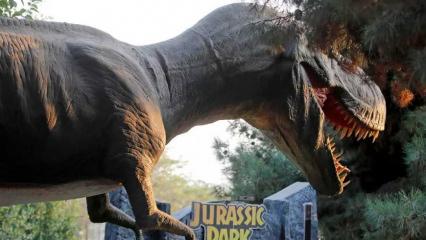 Jurassic Park filminde gibi: Hem devasa hem hareket ediyorlar