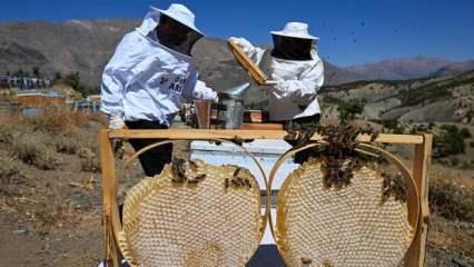 Şehir hayatını bıraktılar, siparişlere yetişemiyorlar