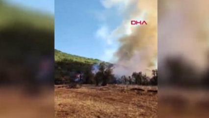 Burdur'da orman yangını