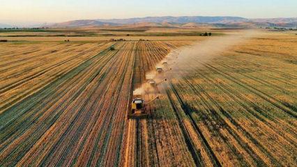 Çiftçilere bugün 47,6 milyon liralık tarımsal destekleme ödemesi yapılacak