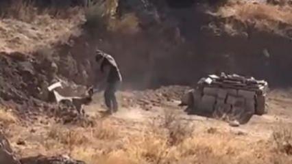 Sivas'ta yavru köpeğe sopayla saldıran ''hayvana'' gözaltı!