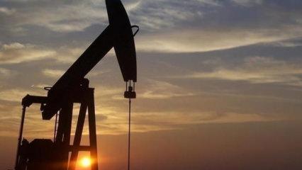 Brent petrolün varili 66,10 dolardan işlem görüyor