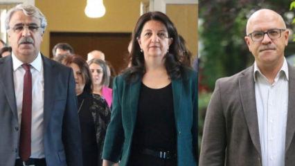 DEM Parti'den İmralı görüşmesi açıklaması