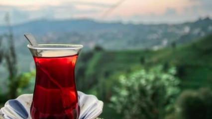 Lipton yaş çay işleme tesislerini Özgür Çay'a devrediyor!