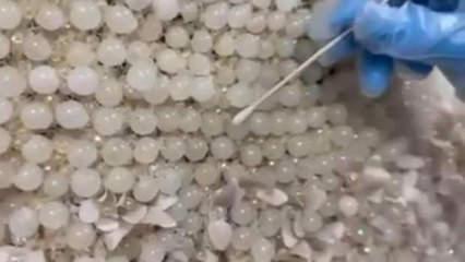 Gelinliğin üzerine boncuk şeklinde işlenmiş 25 kilo uyuşturucu ele geçirildi