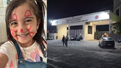 Kalp krizi geçiren Lina'dan acı haber