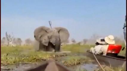 Safari keyfi felaketle sonuçlandı! Turistler ölümden döndü