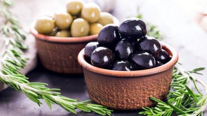Sofralık zeytin ihracatında rekor kırıldı