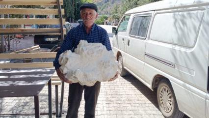 Yayla yürüyüşü sırasında buldu, kendisi bile inanamadı
