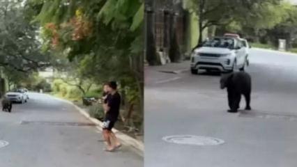 Dünya Kupalı yıldızı evinin önünde ayı kovaladı