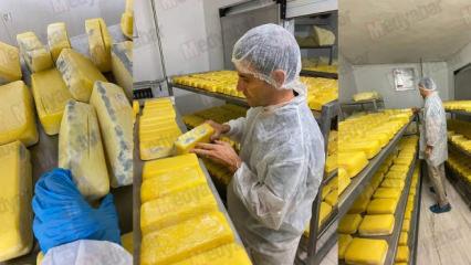 Pakette yazanlar yalan çıktı! Bakanlık 12 peynir markasını ifşa etti