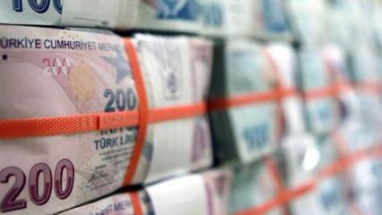 Türk Lirası'nın reel değeri 4 ayın zirvesine çıktı!