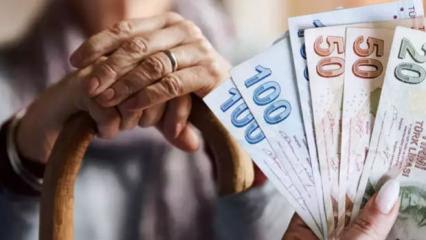 Yapanın emekliliği anında İPTAL EDİLİYOR! Maaşların tamamı geri alınıyor