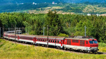 Avrupa ülkesinde iki tren çarpıştı