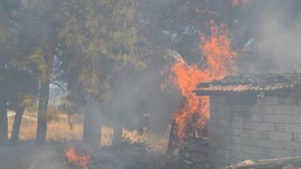 Bucak'ta odunlukta çıkan yangın korkuttu