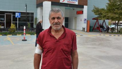 Kastamonu'da ayı saldırısı! Kaçarken yamaçtan düştü