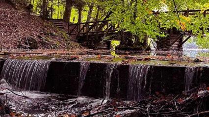 Nereye dönseniz manzara muhteşem: Sonbahar bambaşka bir güzellik kattı