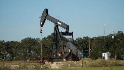 OPEC'in ham petrol üretimi eylülde günlük 524 bin varil arttı